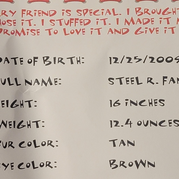 2009 Pittsburgh Steelers Build-A-Bear Workshop Plush Bear - Picture 3 of 14